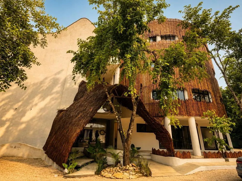 Fachada exterior bamboo
